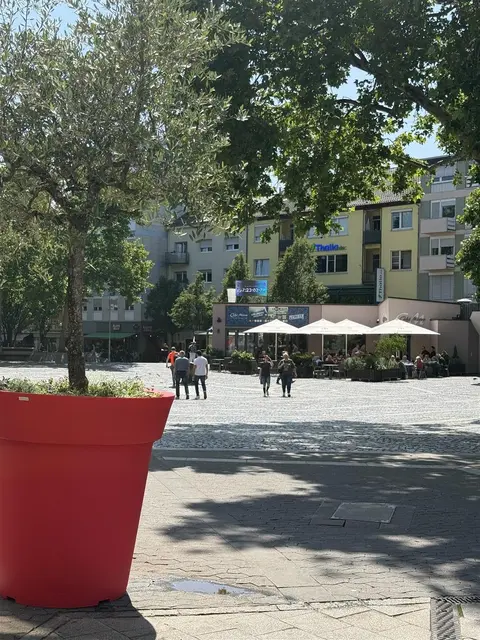 Bunte Kübel am Frankenthaler Rathausplatz | Foto: Stadtverwaltung