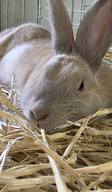 Foto: Bianca Archut-Schiele