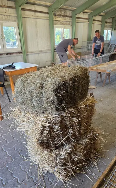 Vor der Ausstellung -  Aufbauarbeiten | Foto: Bianca Archut-Schiele