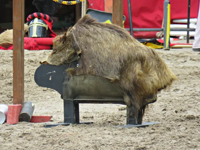 Foto: Brigitte Melder