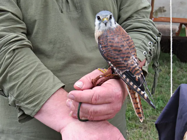 Foto: Brigitte Melder