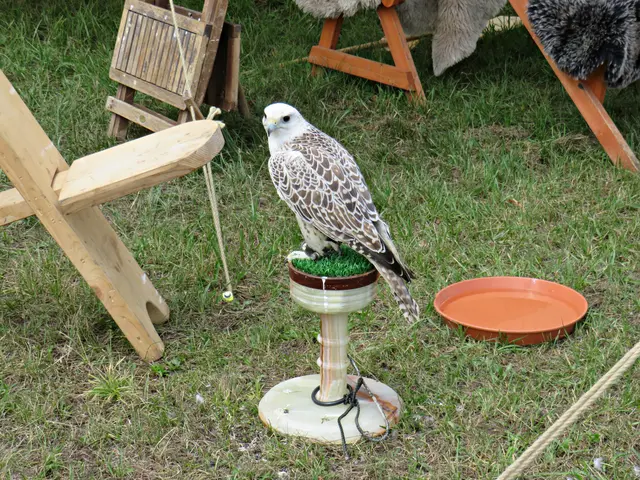 Foto: Brigitte Melder