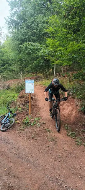 "Dicke Eiche" Trail | Foto: Sven S.