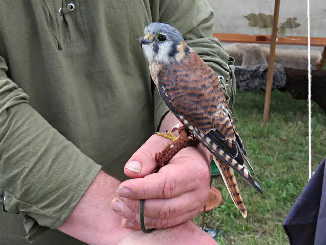 Foto: Brigitte Melder