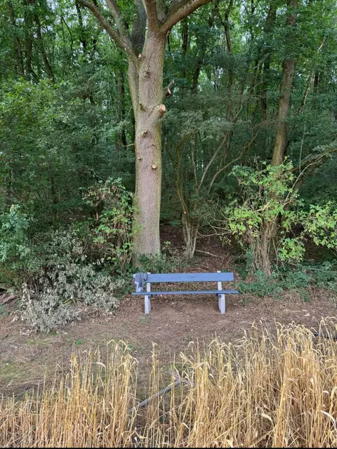 Die Bank vor dem "Bankraub" | Foto: Foto von Albert Ziegler 