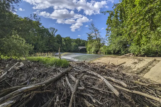 Badeplatz bei Schöntal | Foto: Gerhard Öfner