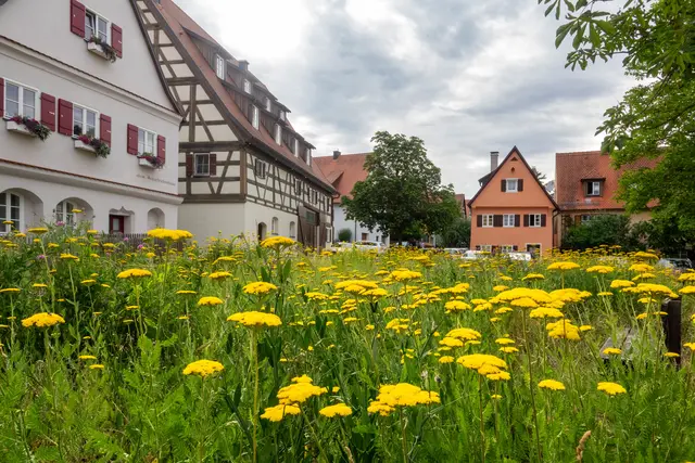 Foto: Gerhard Öfner