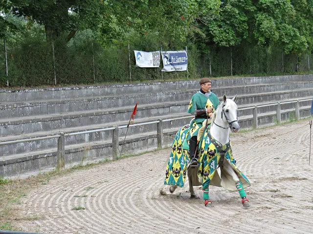 Graf Heinrich von Neuhofen | Foto: Brigitte Melder