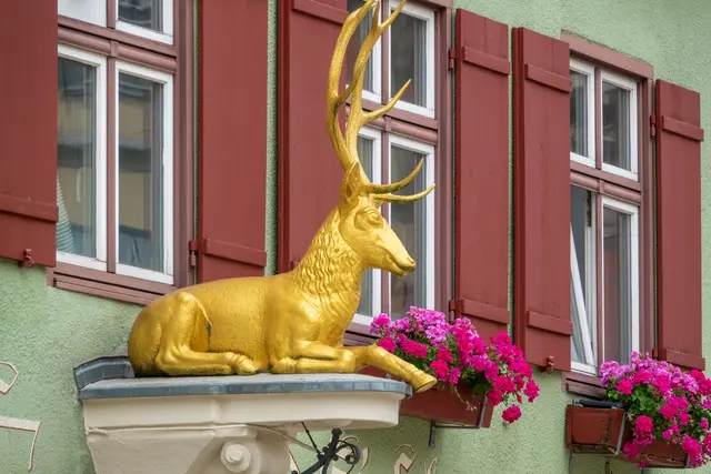 Foto: Gerhard Öfner