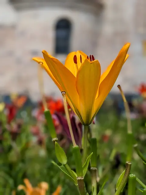 Foto: Gerhard Öfner