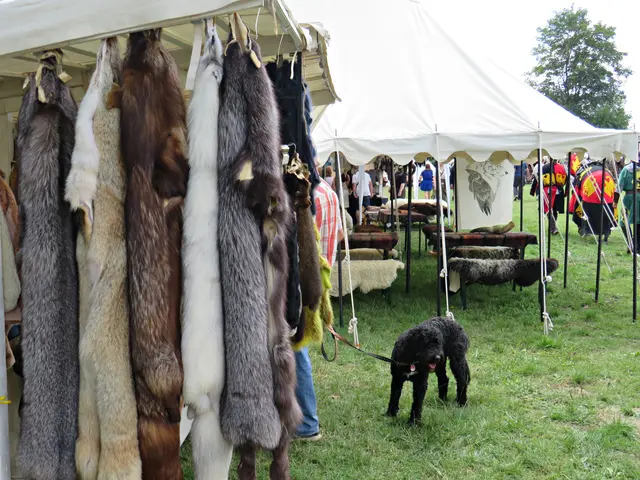 Foto: Brigitte Melder