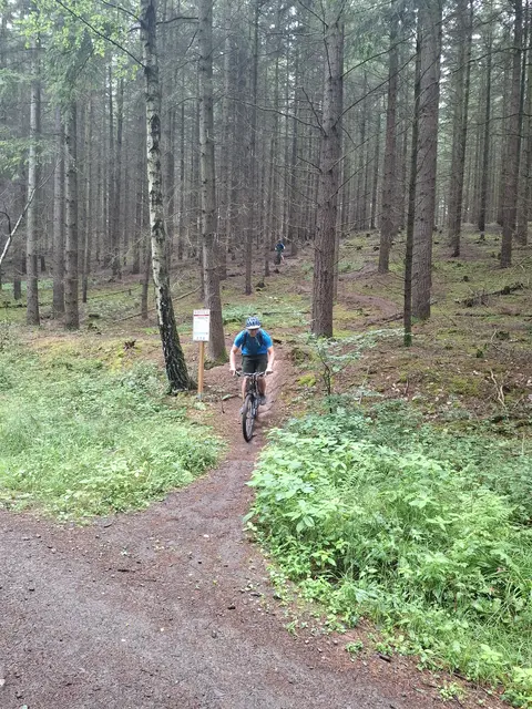 Hungerbrunnentrail | Foto: Ich