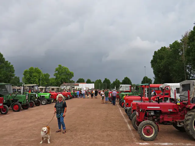 Foto: Brigitte Melder