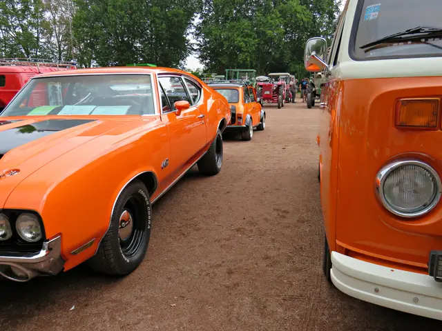 Alles Orange | Foto: Brigitte Melder