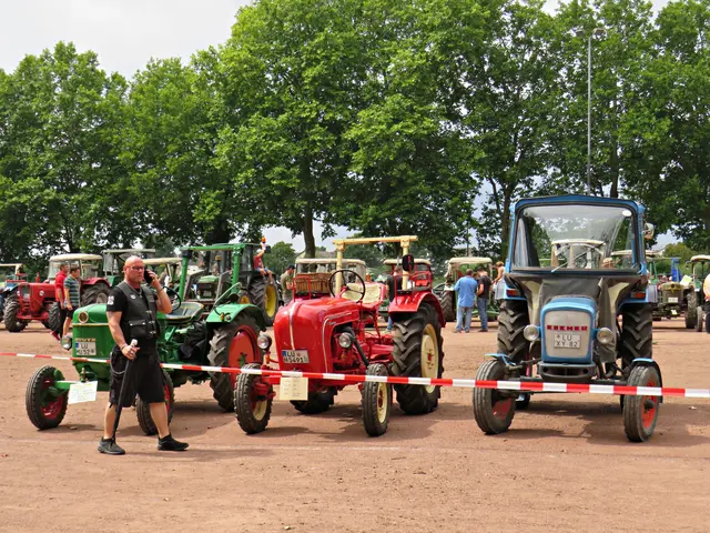 Foto: Brigitte Melder