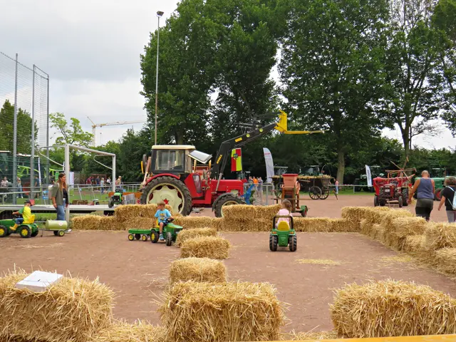 Foto: Brigitte Melder