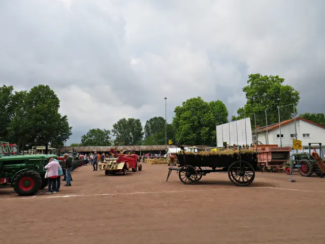 Foto: Brigitte Melder