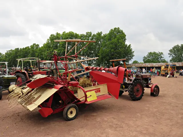 Foto: Brigitte Melder