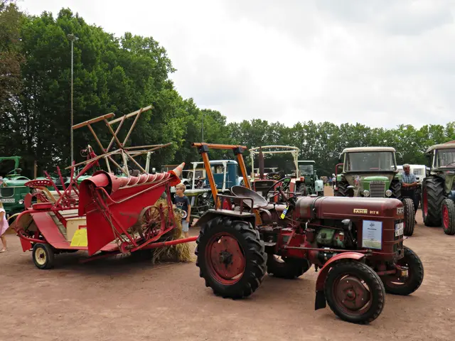 Foto: Brigitte Melder