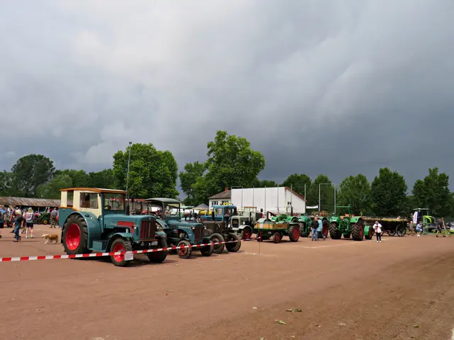 Foto: Brigitte Melder