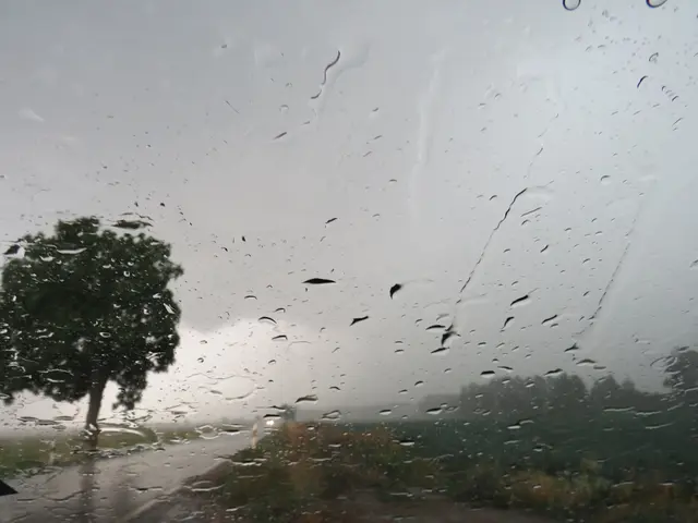 Auf dem Weg nach Böhl-Iggelheim prasselten Hagelkörner aufs Dach | Foto: Brigitte Melder