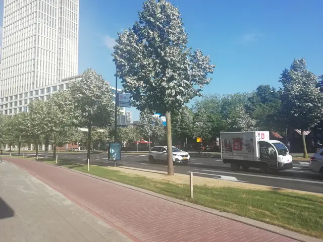Weena in Rotterdam: Die Kohl-Allee folgt einem ähnlichen Straßenraumkonzept. Der Mittelstreifen soll zwei Baumreihen umfassen und breiter werden. Ob die Versiegelungsfläche zurückgeht, bezweifelt Buchholz. Allerdings wird damit ein großer Stadtpark möglich, der nach dem Schwammstadtprinzip funktionieren soll.  | Foto: Julia Glöckner