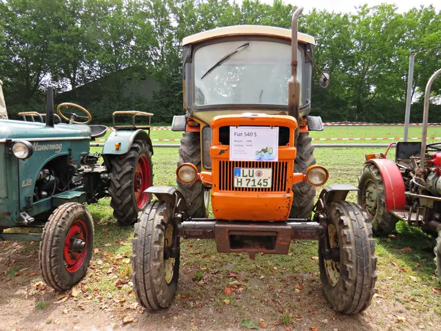 Foto: Brigitte Melder