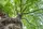 Baum Symbolbild | Foto: chbaum/stock.adobe.com