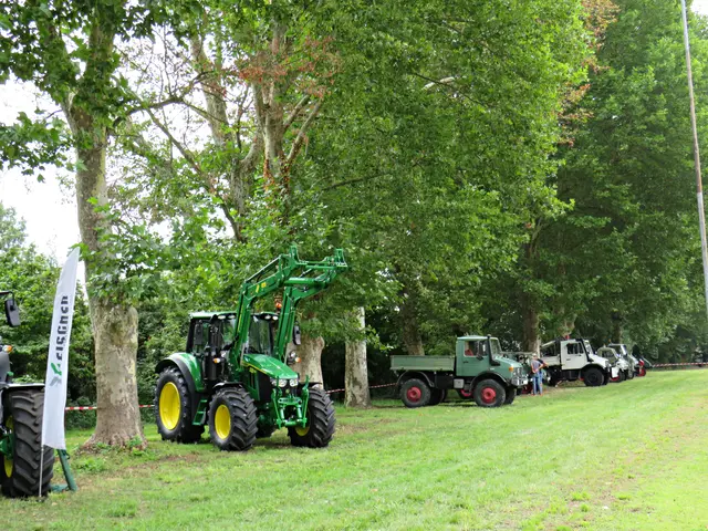 Foto: Brigitte Melder