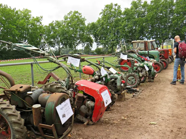 Foto: Brigitte Melder