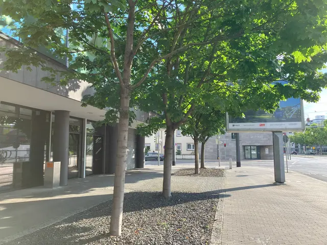 Schotterbeete vor einem der schönsten Stadtgebäude in der Innenstadt | Foto: Julia Glöckner