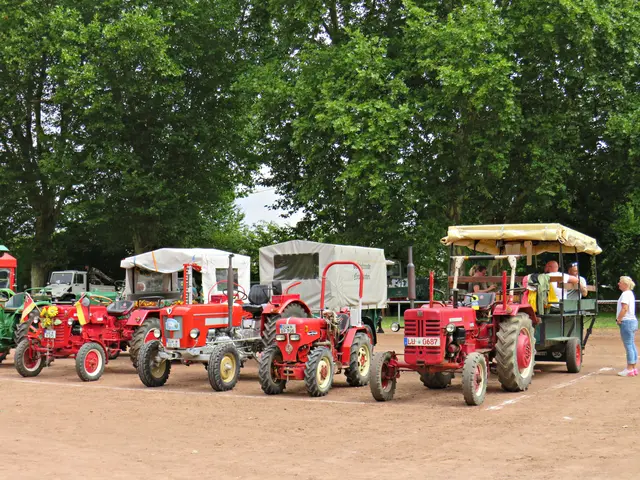 Foto: Brigitte Melder