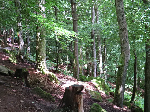 Foto: Brigitte Melder