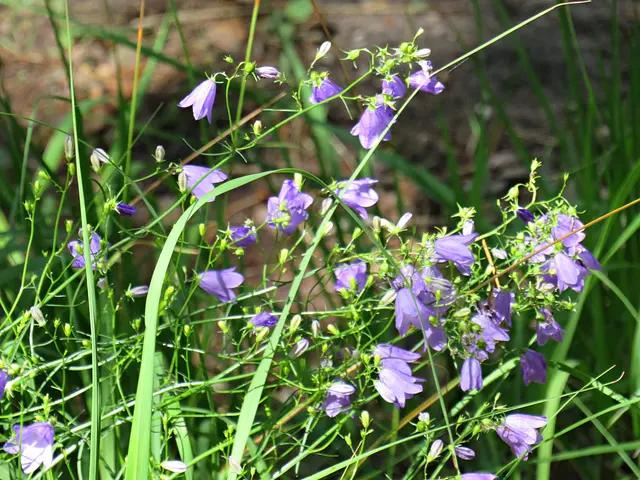 Foto: Brigitte Melder