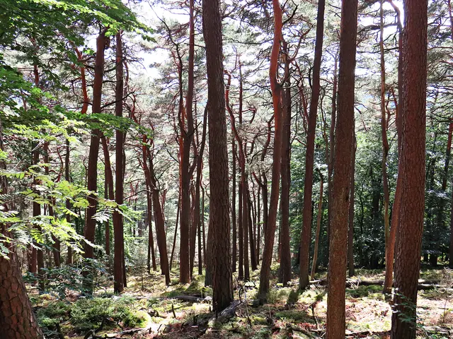 Foto: Brigitte Melder