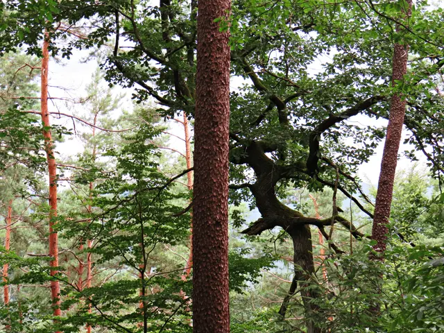 Foto: Brigitte Melder