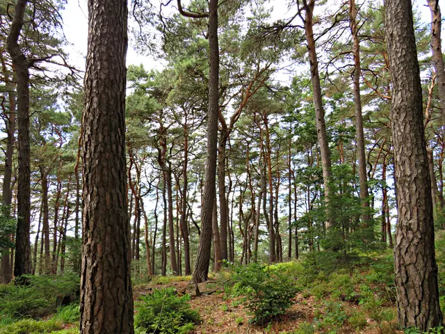 Foto: Brigitte Melder