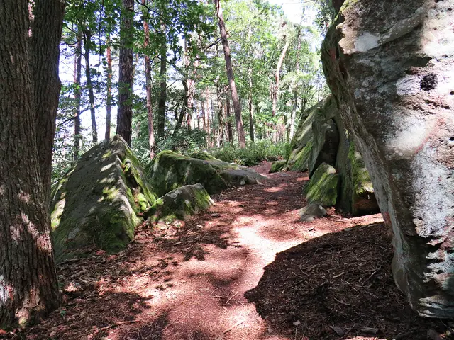 Foto: Brigitte Melder