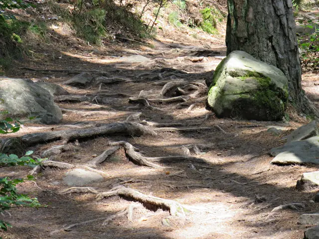 Foto: Brigitte Melder