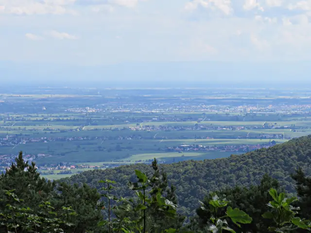 Foto: Brigitte Melder