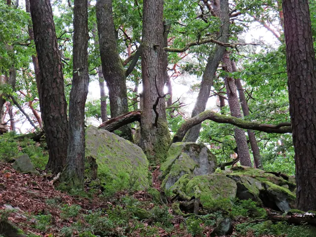 Foto: Brigitte Melder