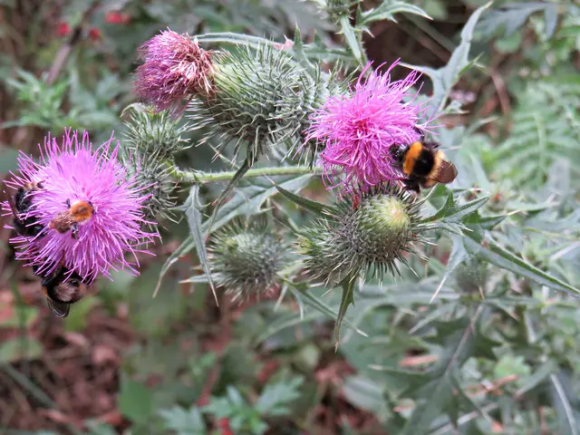 Foto: Brigitte Melder