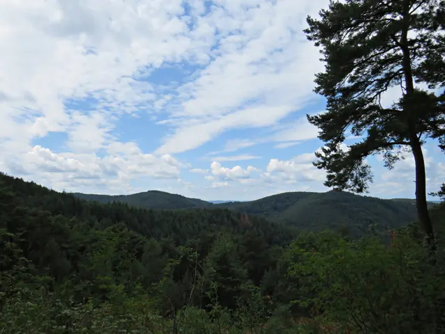 Foto: Brigitte Melder