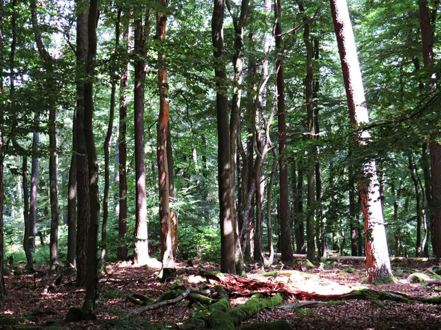 Foto: Brigitte Melder