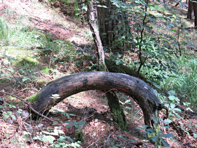 Foto: Brigitte Melder