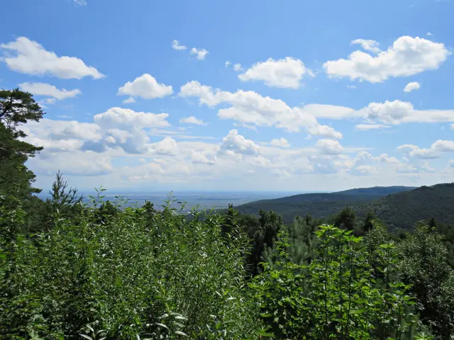 Foto: Brigitte Melder