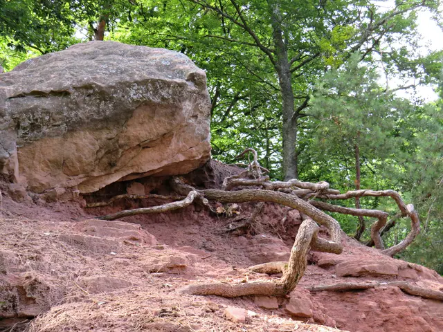 Foto: Brigitte Melder