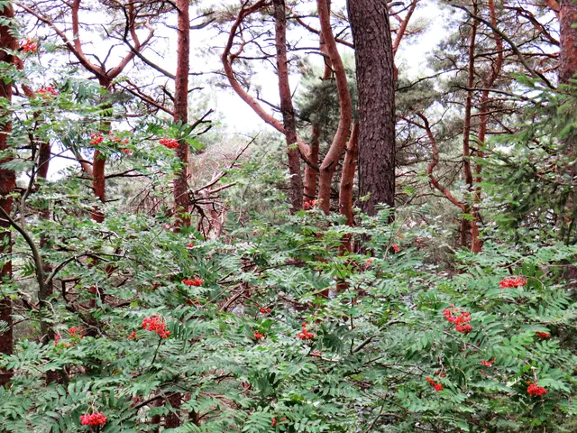 Foto: Brigitte Melder