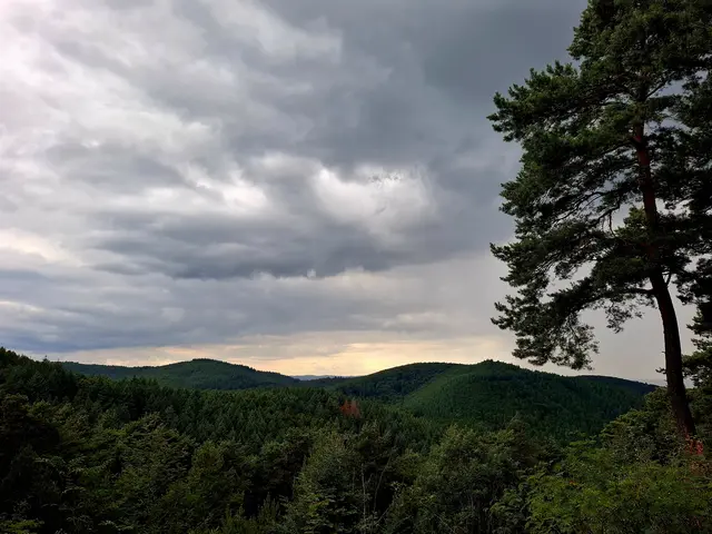 Foto: Brigitte Melder