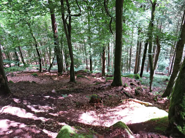 Foto: Brigitte Melder